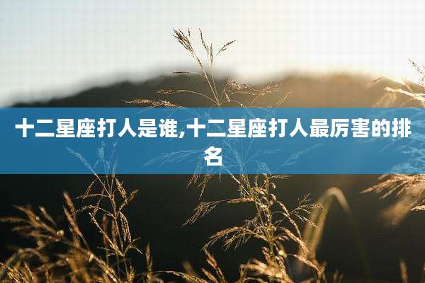 十二星座打人是谁,十二星座打人最厉害的排名