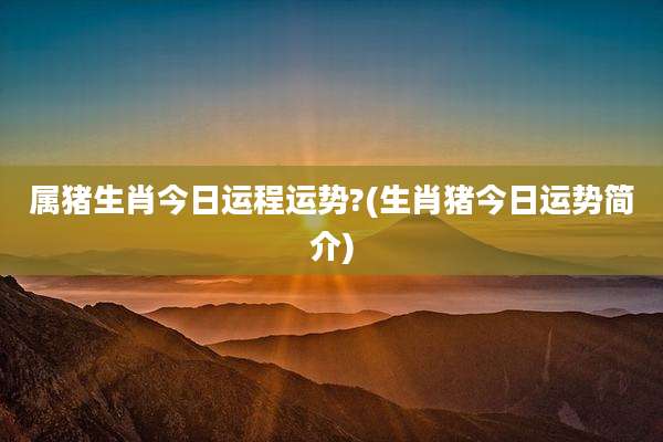 属猪生肖今日运程运势?(生肖猪今日运势简介)