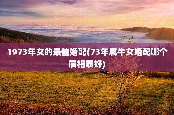 1973年女的最佳婚配(73年属牛女婚配哪个属相最好)