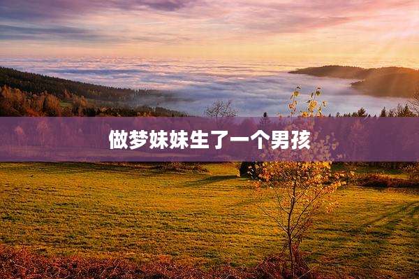 做梦妹妹生了一个男孩
