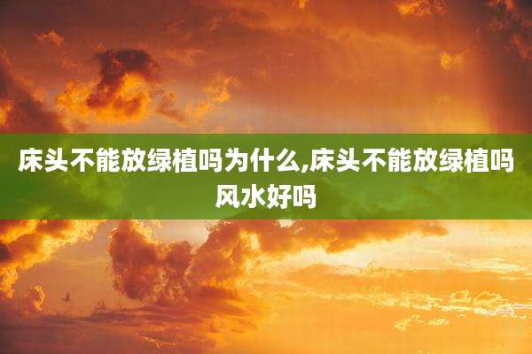 床头不能放绿植吗为什么,床头不能放绿植吗风水好吗