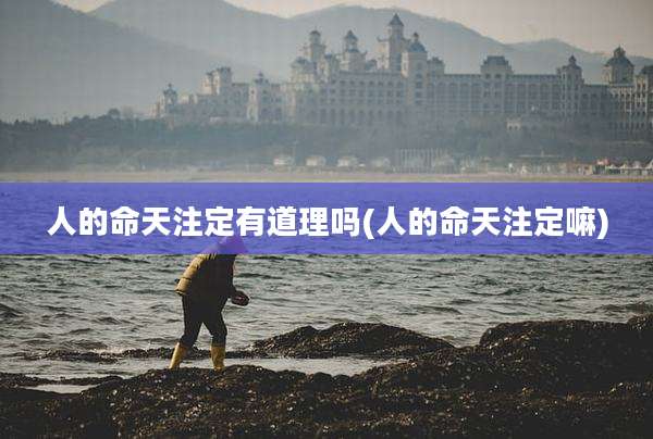 人的命天注定有道理吗(人的命天注定嘛)