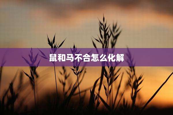 鼠和马不合怎么化解