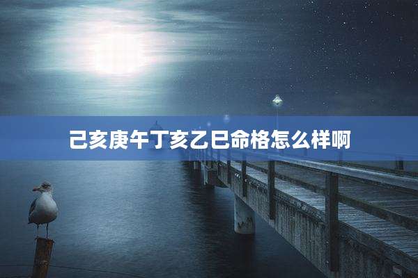 己亥庚午丁亥乙巳命格怎么样啊