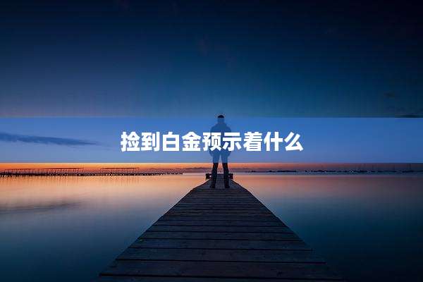 捡到白金预示着什么