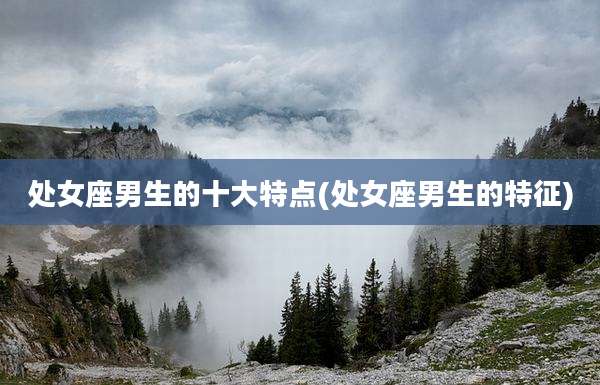 处女座男生的十大特点(处女座男生的特征)