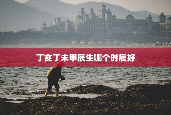 丁亥丁未甲辰生哪个时辰好