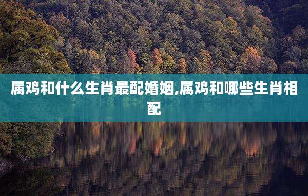 属鸡和什么生肖最配婚姻,属鸡和哪些生肖相配