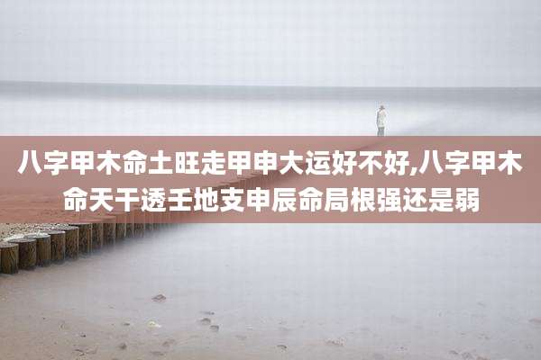 八字甲木命土旺走甲申大运好不好,八字甲木命天干透壬地支申辰命局根强还是弱