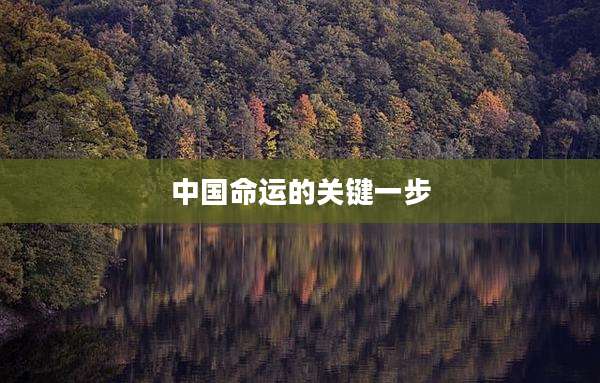 中国命运的关键一步