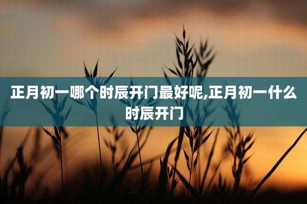 正月初一哪个时辰开门最好呢,正月初一什么时辰开门