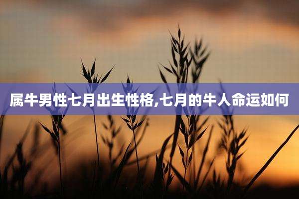 属牛男性七月出生性格,七月的牛人命运如何