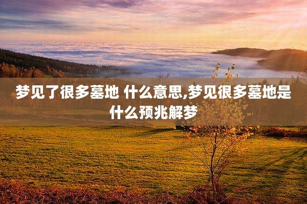 梦见了很多墓地 什么意思,梦见很多墓地是什么预兆解梦