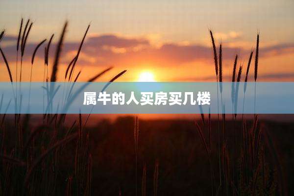 属牛的人买房买几楼