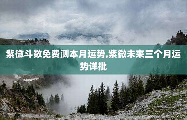 紫微斗数免费测本月运势,紫微未来三个月运势详批