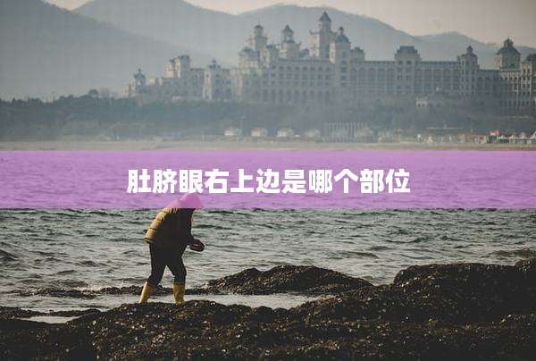 肚脐眼右上边是哪个部位