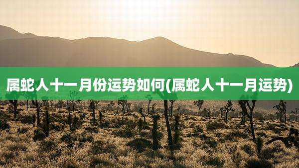 属蛇人十一月份运势如何(属蛇人十一月运势)