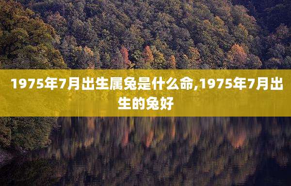 1975年7月出生属兔是什么命,1975年7月出生的兔好