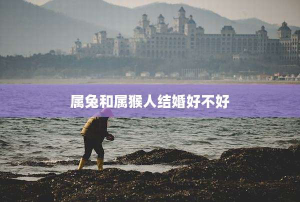 属兔和属猴人结婚好不好