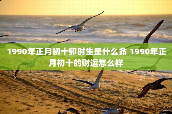 1990年正月初十卯时生是什么命 1990年正月初十的财运怎么样