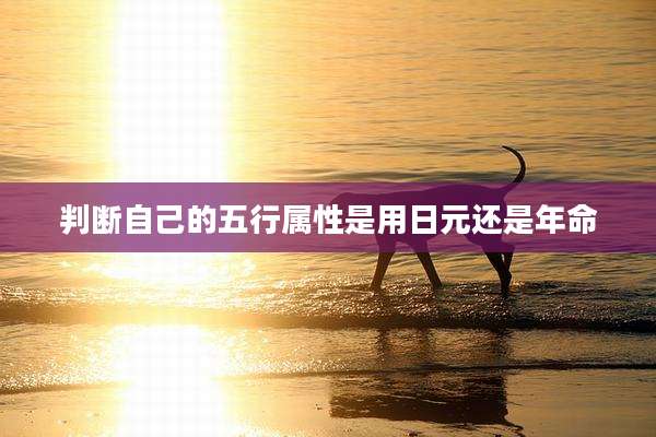 判断自己的五行属性是用日元还是年命