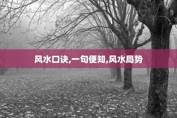 风水口诀,一句便知,风水局势