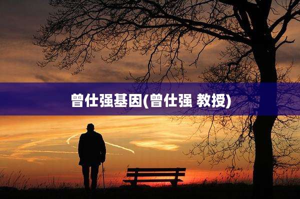 曾仕强基因(曾仕强 教授)