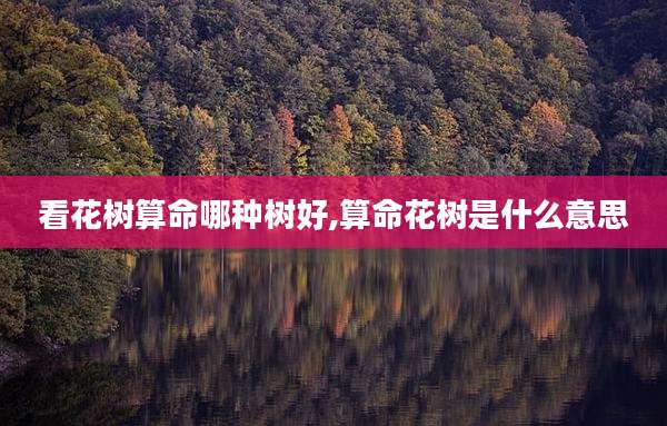 看花树算命哪种树好,算命花树是什么意思