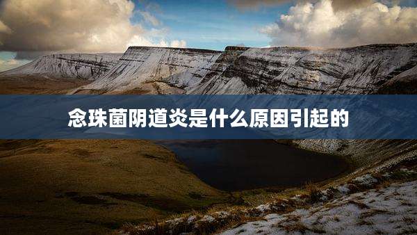 念珠菌***炎是什么原因引起的