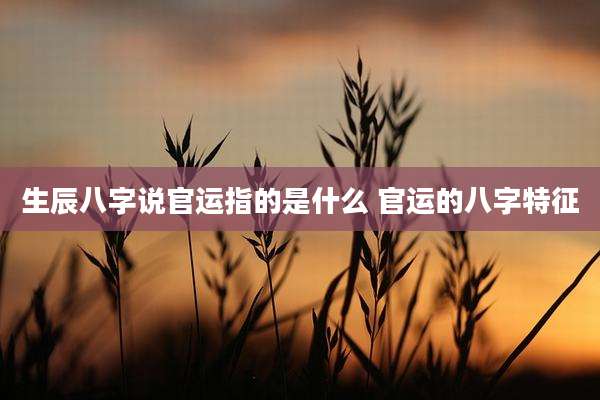 生辰八字说官运指的是什么 官运的八字特征