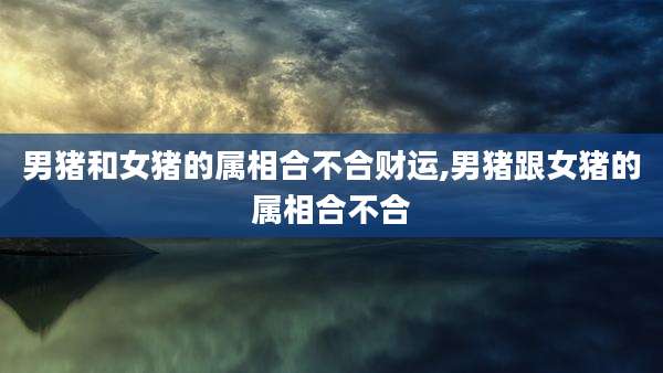 男猪和女猪的属相合不合财运,男猪跟女猪的属相合不合