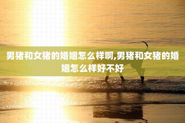 男猪和女猪的婚姻怎么样啊,男猪和女猪的婚姻怎么样好不好