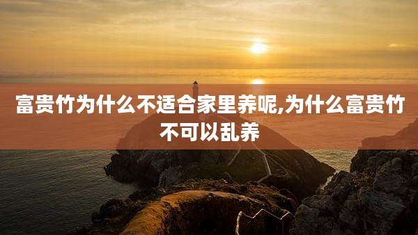 富贵竹为什么不适合家里养呢,为什么富贵竹不可以乱养