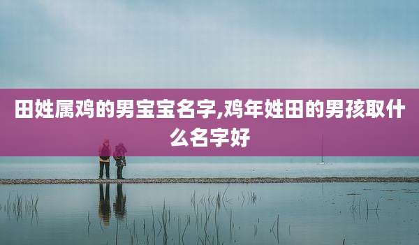 田姓属鸡的男宝宝名字,鸡年姓田的男孩取什么名字好