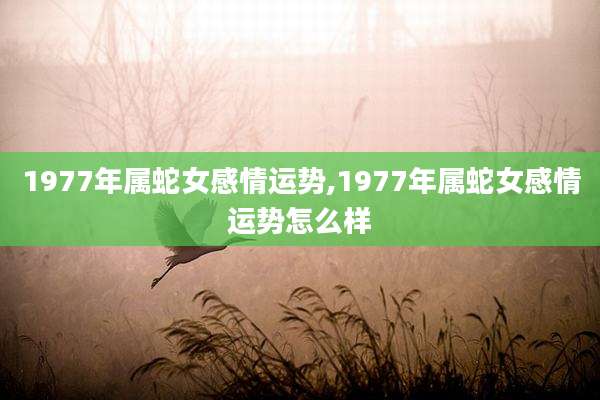 1977年属蛇女感情运势,1977年属蛇女感情运势怎么样