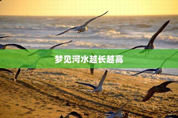 梦见河水越长越高