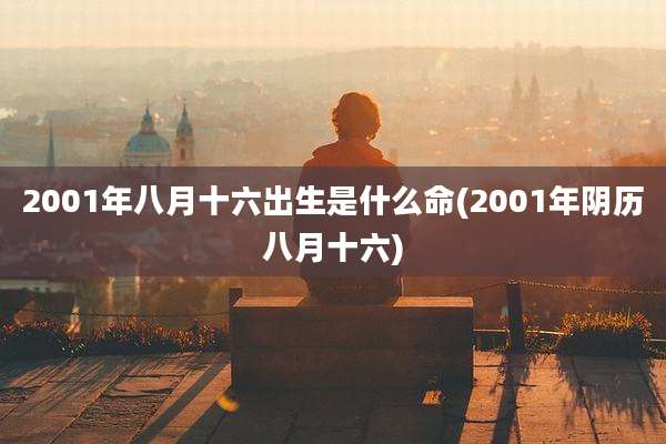 2001年八月十六出生是什么命(2001年阴历八月十六)