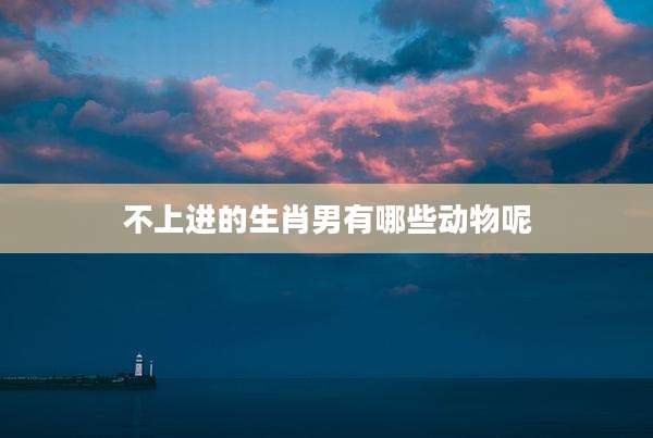 不上进的生肖男有哪些动物呢