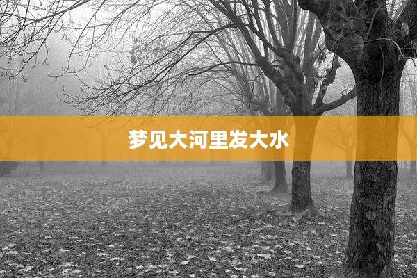 梦见大河里发大水