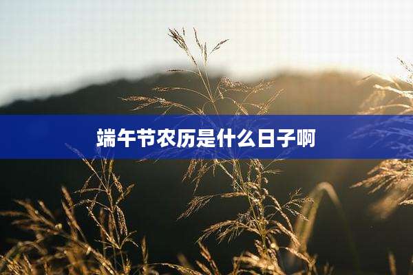 端午节农历是什么日子啊