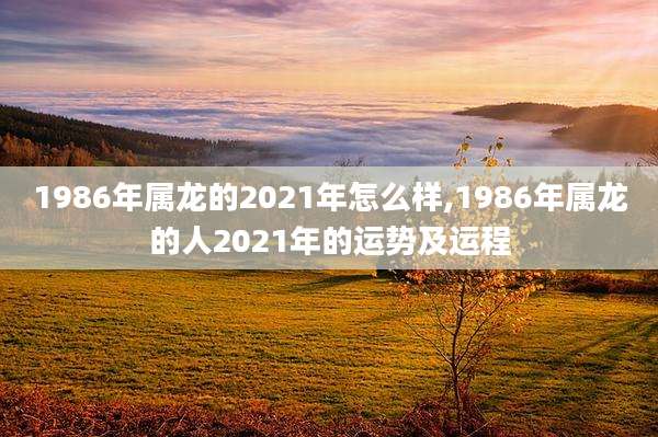 1986年属龙的2021年怎么样,1986年属龙的人2021年的运势及运程