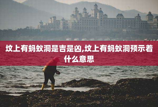 坟上有蚂蚁洞是吉是凶,坟上有蚂蚁洞预示着什么意思