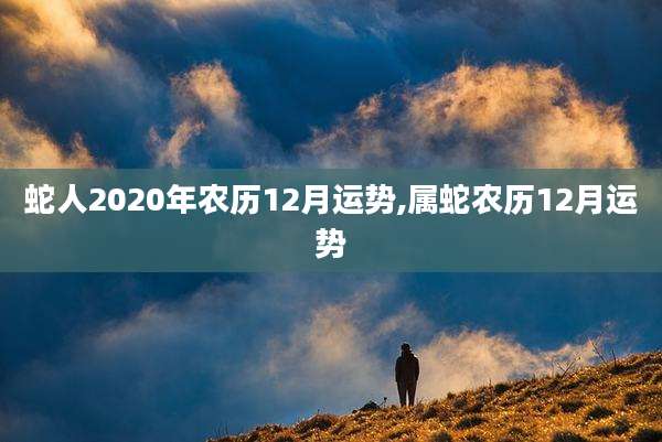 蛇人2020年农历12月运势,属蛇农历12月运势