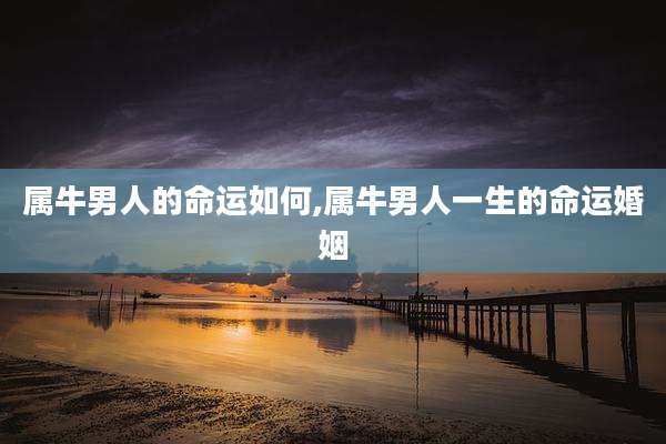 属牛男人的命运如何,属牛男人一生的命运婚姻