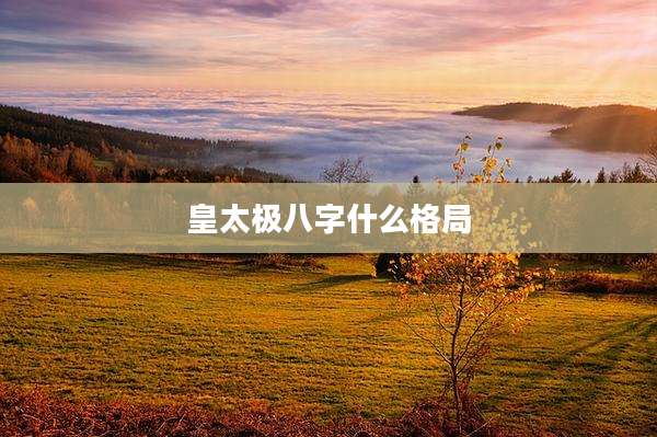 皇太极八字什么格局