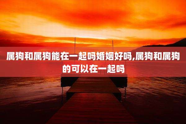 属狗和属狗能在一起吗婚姻好吗,属狗和属狗的可以在一起吗