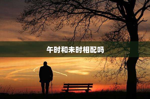 午时和未时相配吗