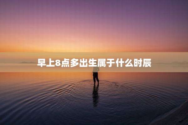 早上8点多出生属于什么时辰