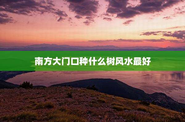 南方大门口种什么树风水最好