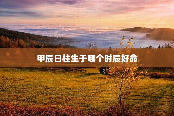 甲辰日柱生于哪个时辰好命